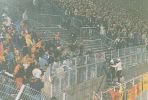 lillelens9697045mo.jpg